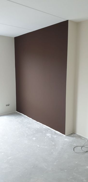 Breng je interieur tot leven met de perfecte accentwand